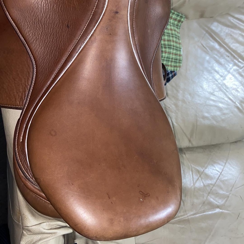 HDR Pro Concept Jump Saddle - Picture 3 of 4